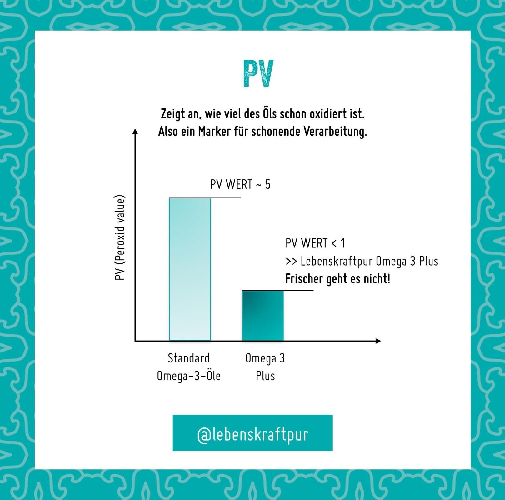 3_Omega_3_Plus_PV_Wert_609