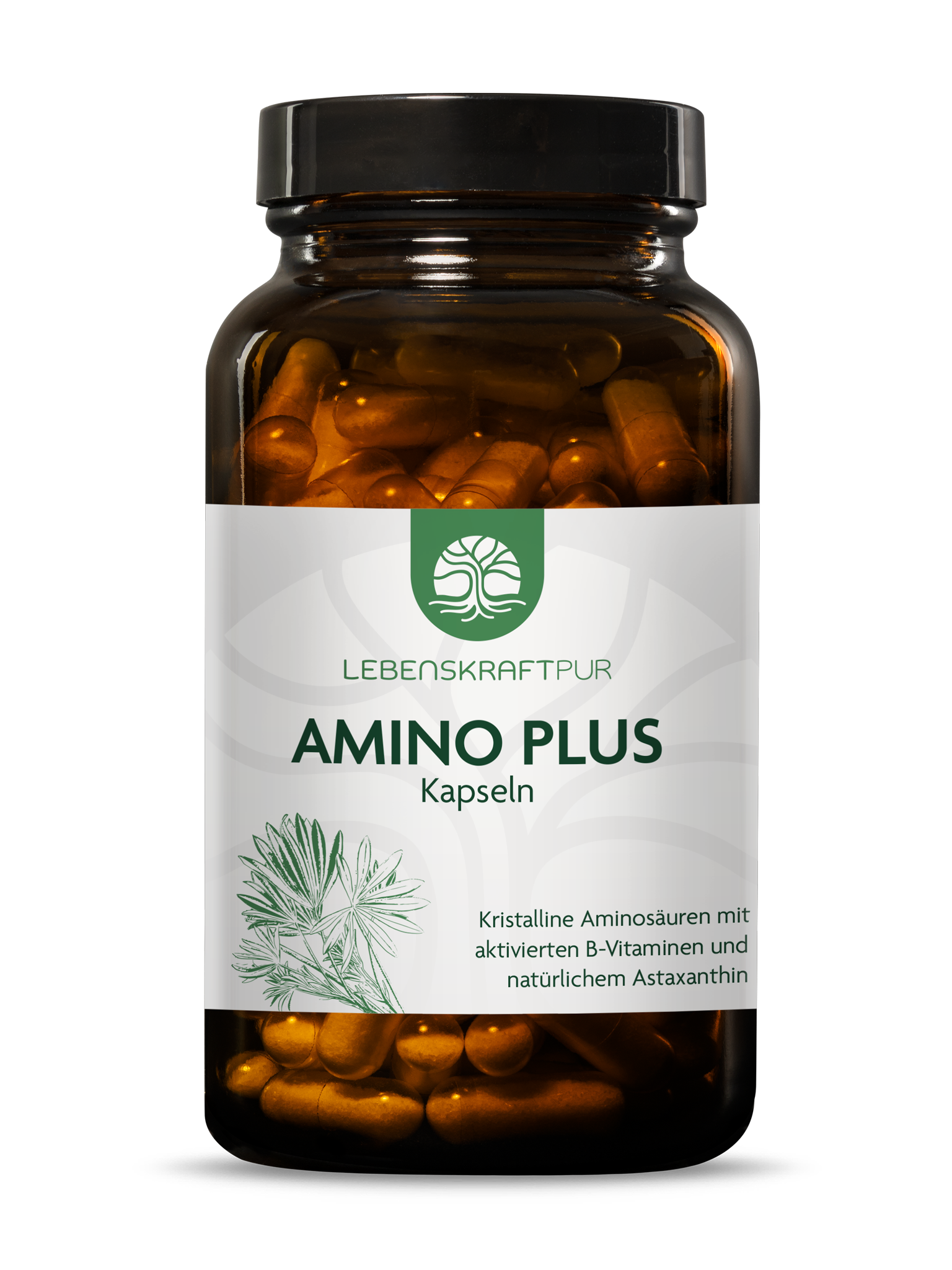 Amino Plus Kapseln