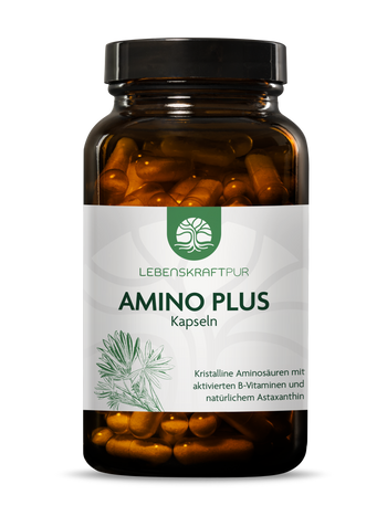 Amino Plus Kapseln