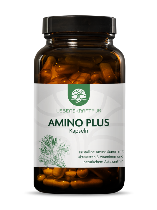 Amino Plus Kapseln