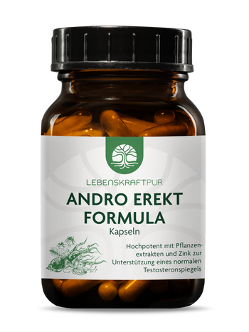 Andro Erekt Formula Kapseln