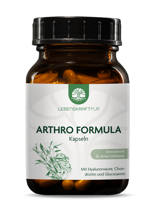 Arthro Formula Kapseln von Lebenskraftpur