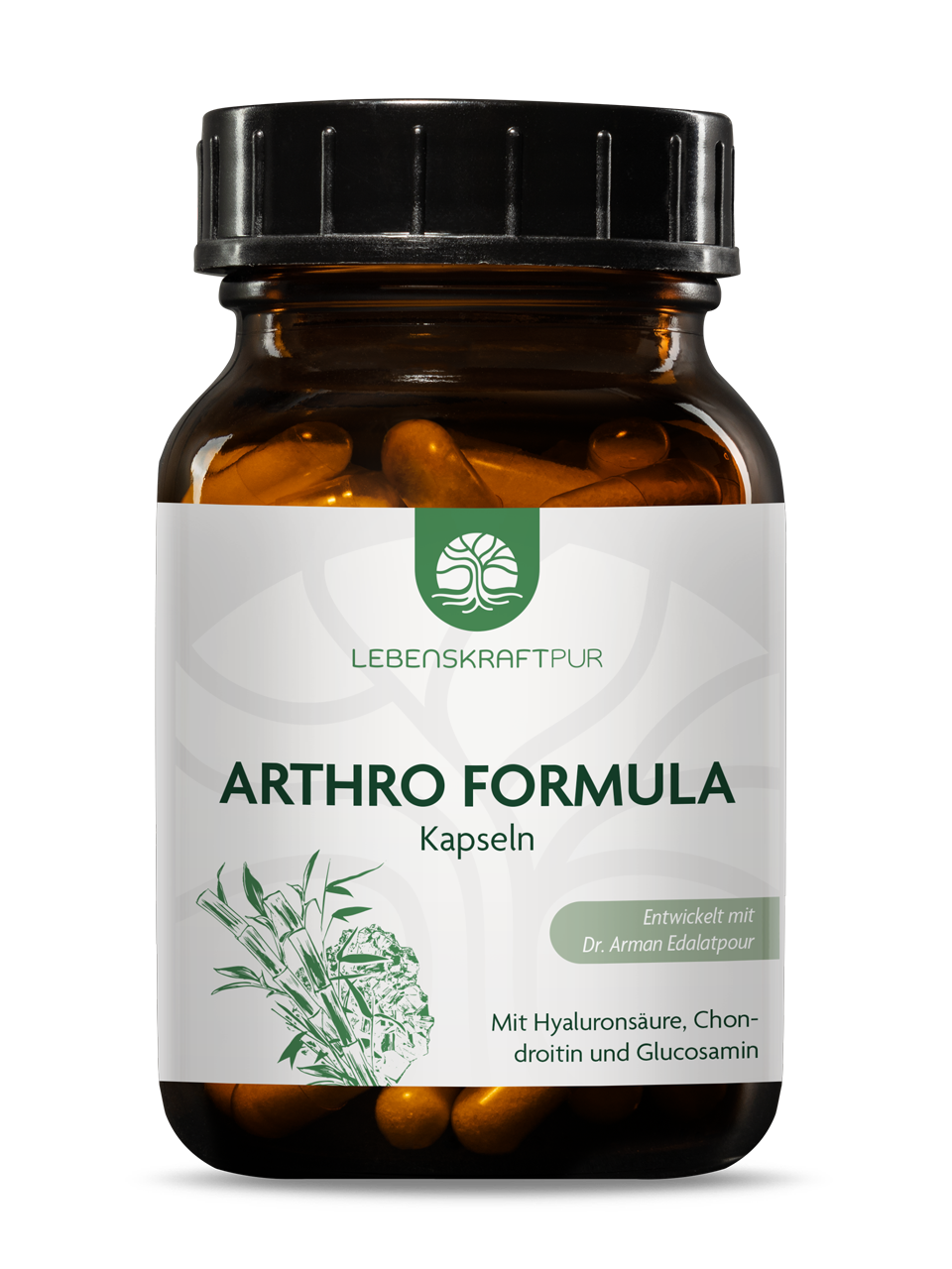 Arthro Formula Kapseln von Lebenskraftpur