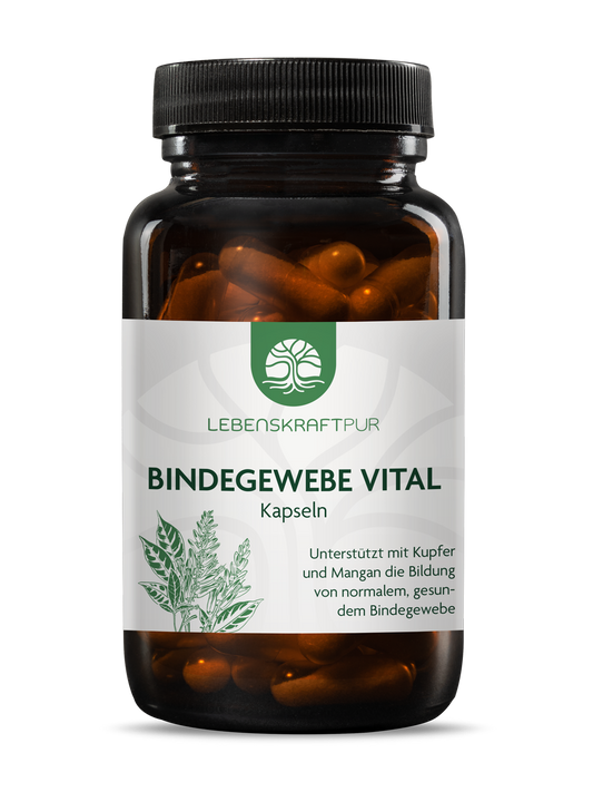 Bindegewebe Vital Kapseln von Lebenskraftpur