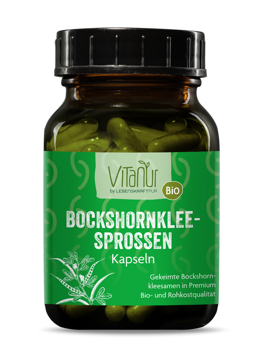 Bio Bockshornkleesprossen Kapseln von Vitanur by Lebenskraftpur