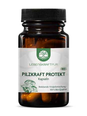 Bio Pilzkraft Protekt Kapseln (30 Kapseln) von Lebenskraftpur