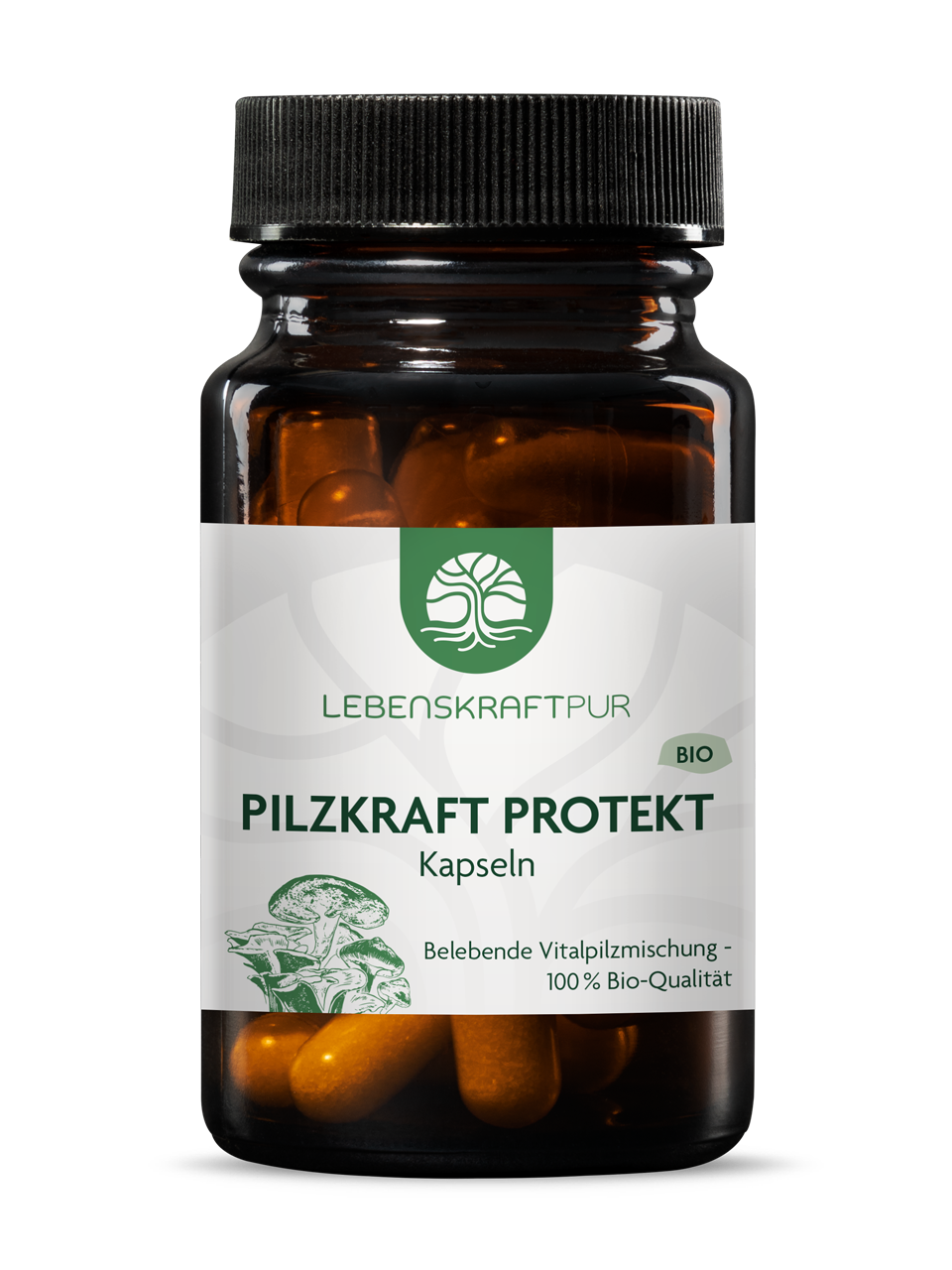 Bio Pilzkraft Protekt Kapseln (30 Kapseln) von Lebenskraftpur