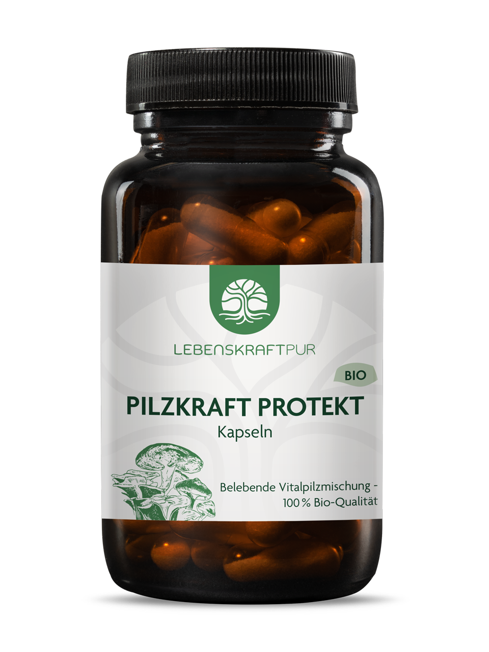 Bio Pilzkraft Protekt Kapseln (60 Kapseln) von Lebenskraftpur