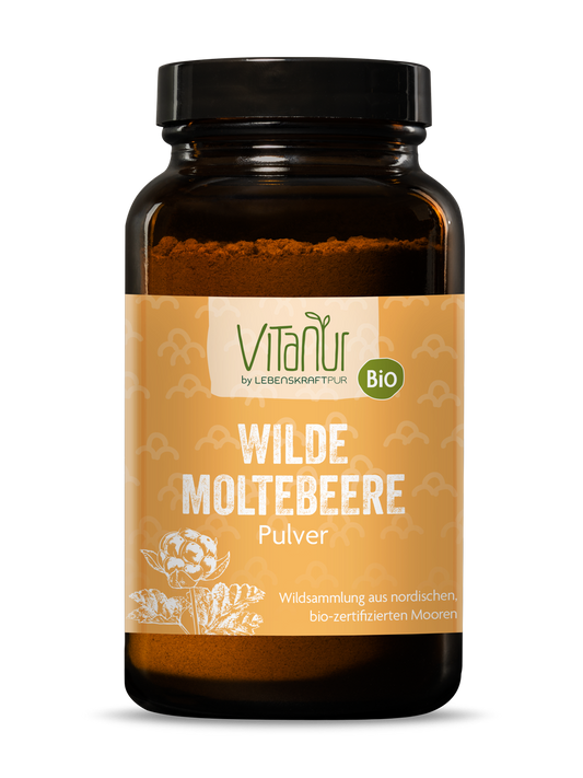 Bio Wilde Moltebeere Pulver von Vitanur by Lebenskraftpur