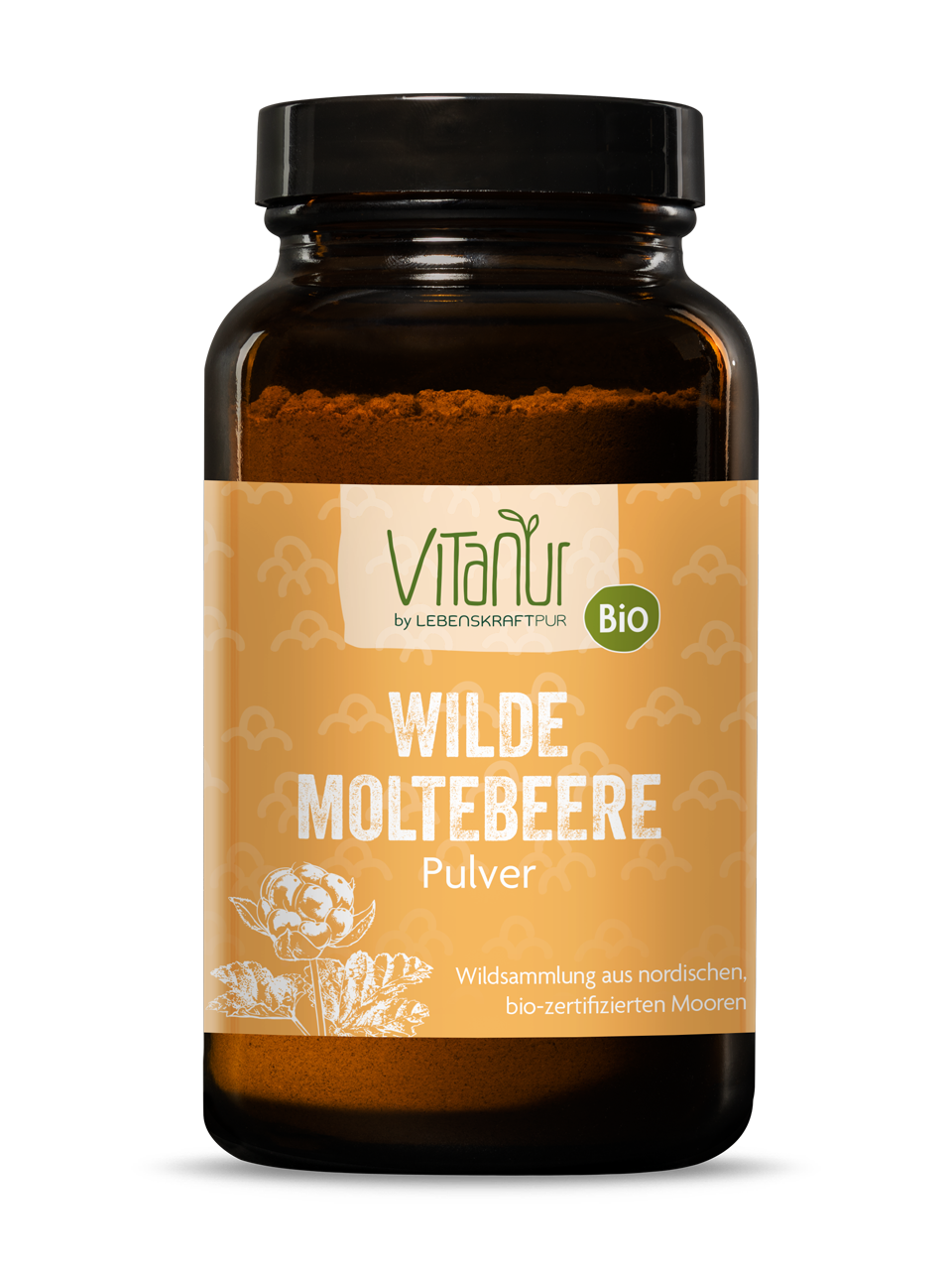 Bio Wilde Moltebeere Pulver von Vitanur by Lebenskraftpur