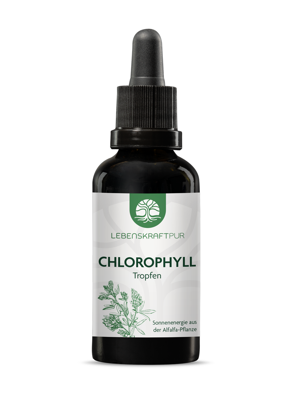 Produktbild Chlorophyll Tropfen