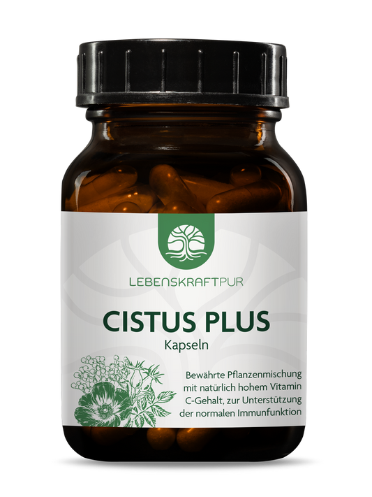 Cistus Plus Kapseln von Lebenskraftpur