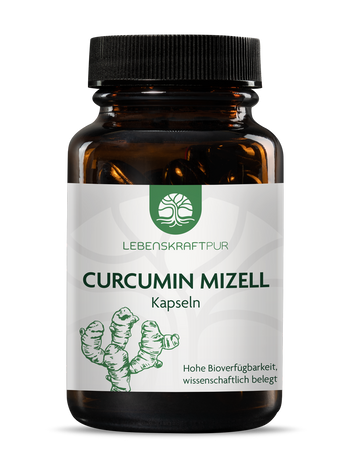 Curcumin Mizell Kapseln (60 Kapseln) von Lebenskraftpur