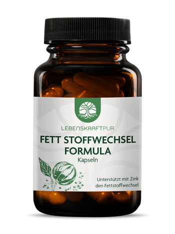 Fett Stoffwechsel Formula Kapseln von Lebenskraftpur