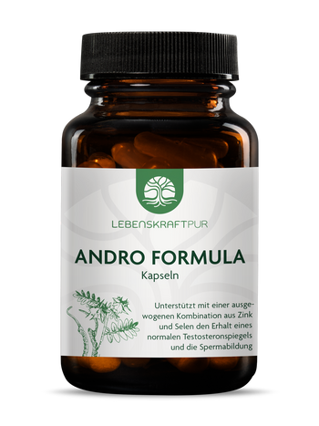 Andro Formula Kapseln von Lebenskraftpur