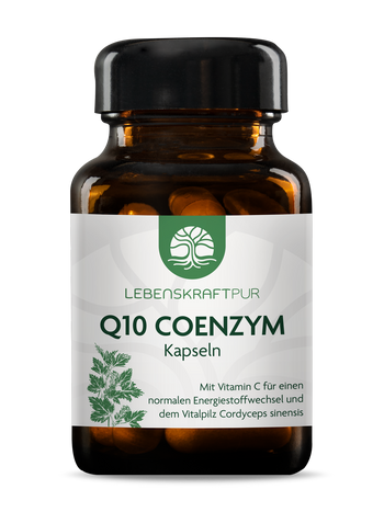 Q10 Coenzym Kapseln