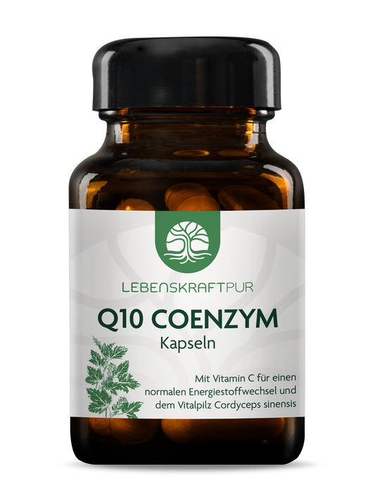 Q10 Coenzym Kapseln