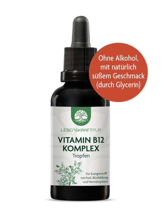 Vitamin B12 Komplex Tropfen von Lebenskraftpur