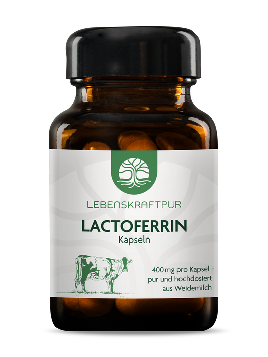 Lactoferrin Kapseln