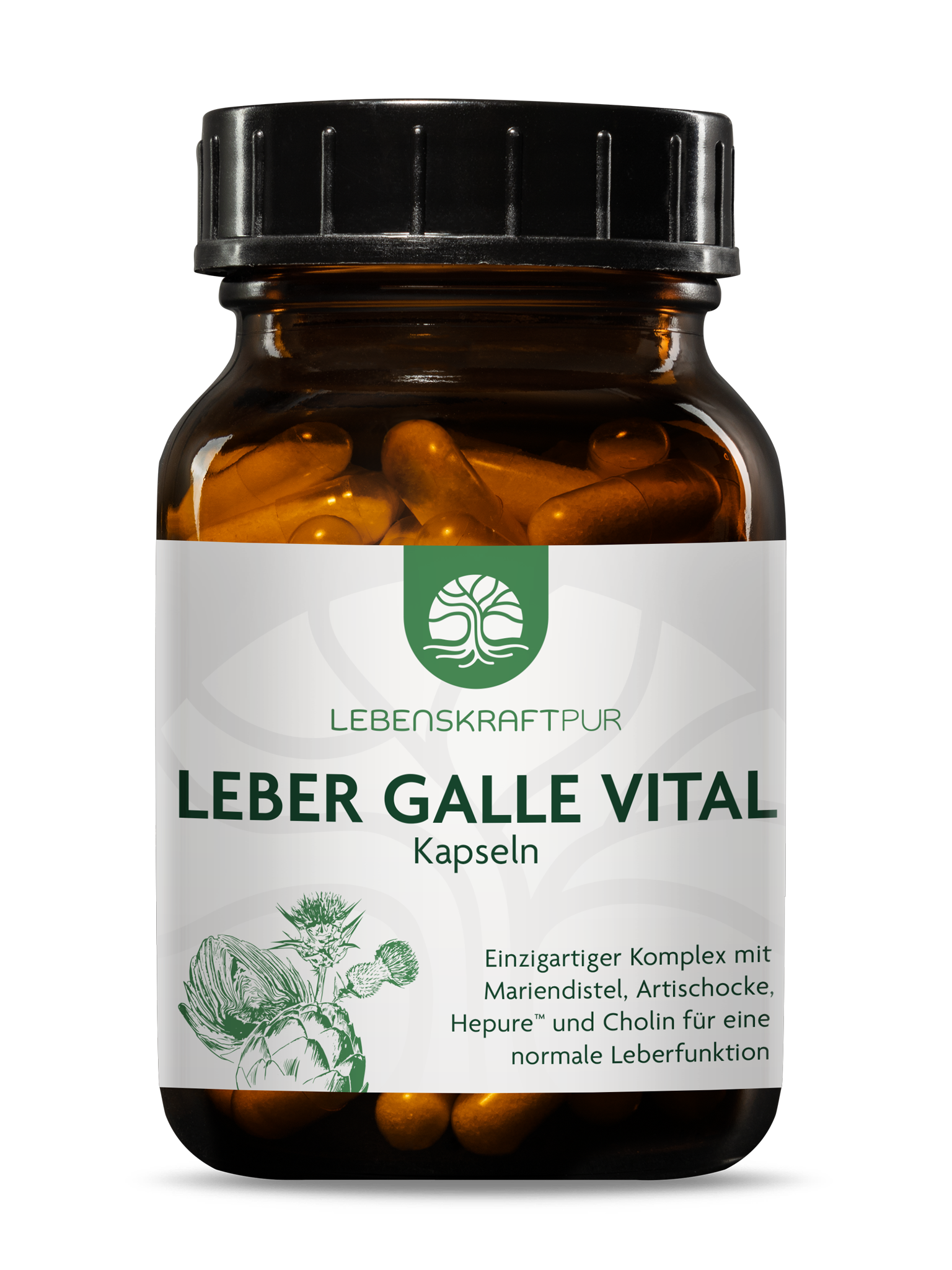 Leber Galle Vital Kapseln