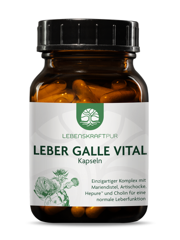 Leber Galle Vital Kapseln