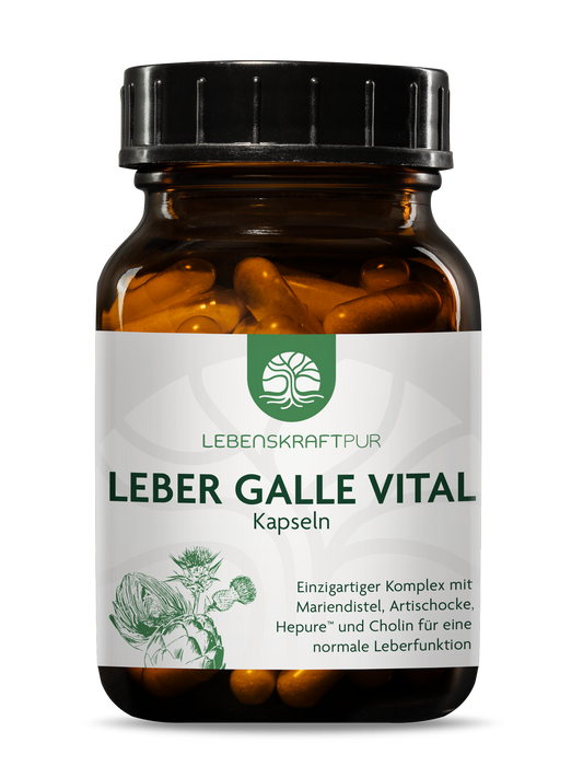 Leber Galle Vital Kapseln