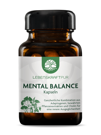 Mental Balance Kapseln