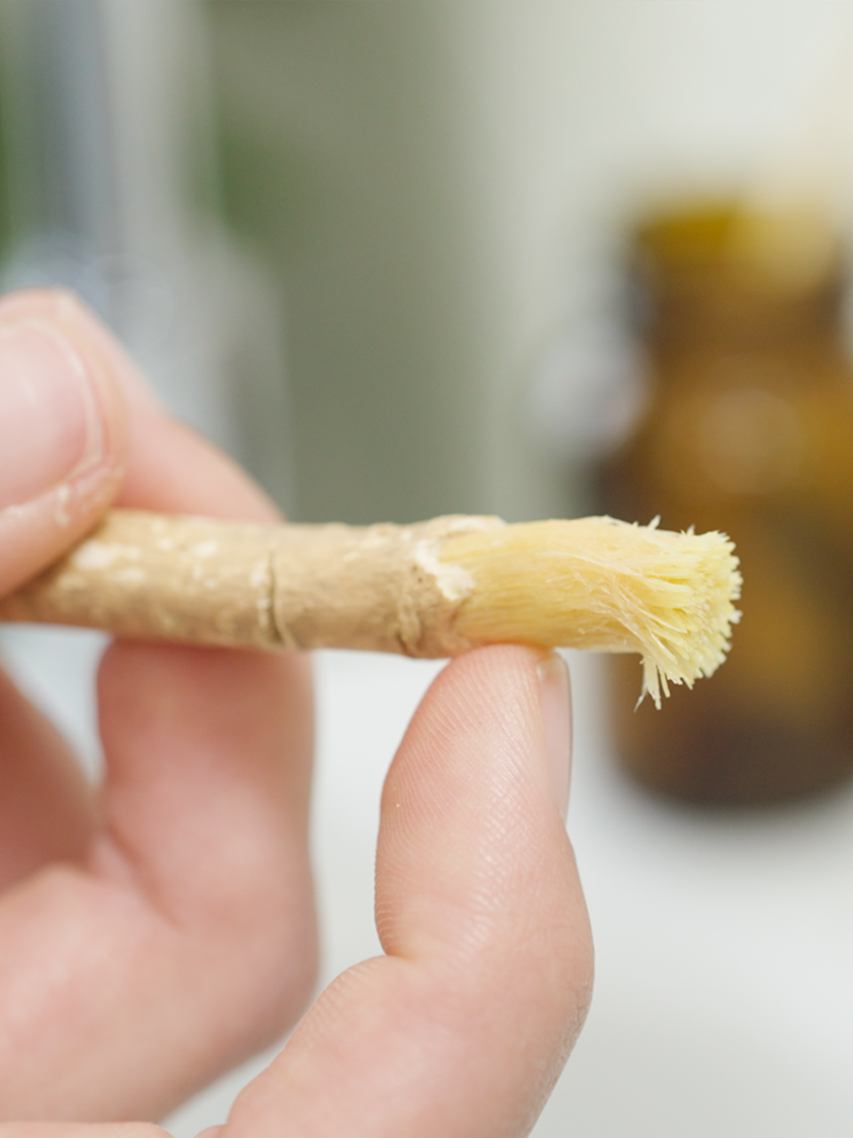 Miswak von Vitanur