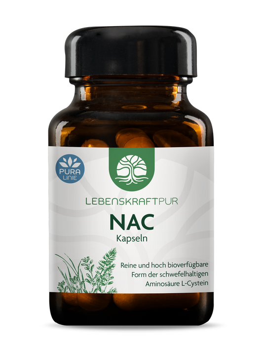 NAC Kapseln (30 Kapseln) von Lebenskraftpur