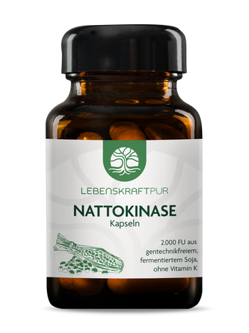 Produktbild Nattokinase Kapseln