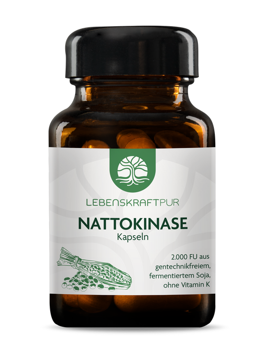 Nattokinase Kapseln