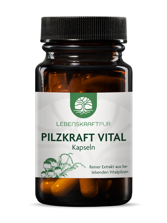 Pilzkraft Vital Kapseln (30 Kapseln) von Lebenskraftpur