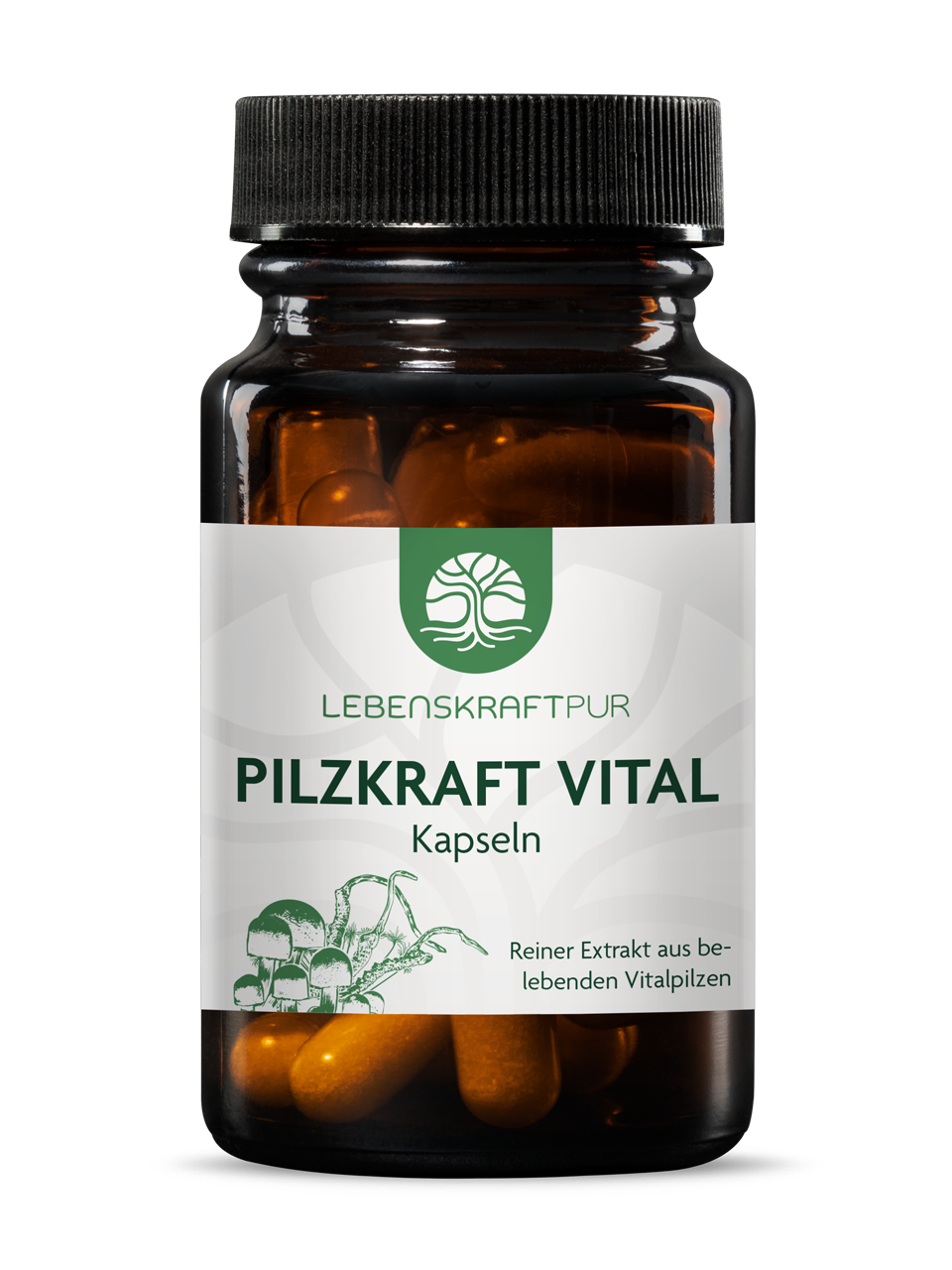 Pilzkraft Vital Kapseln (30 Kapseln) von Lebenskraftpur