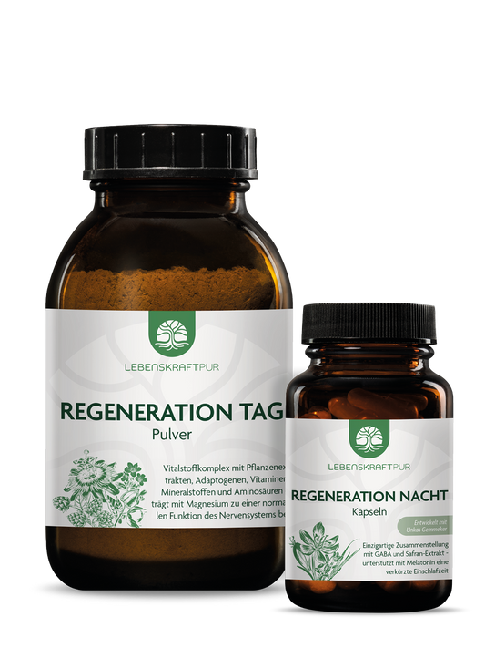 Regeneration Tag & Nacht Box