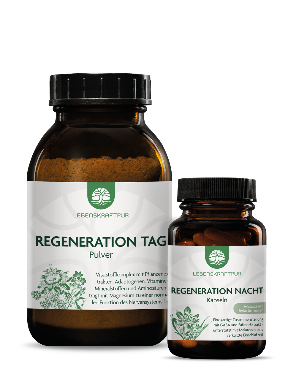 Regeneration Tag & Nacht Box