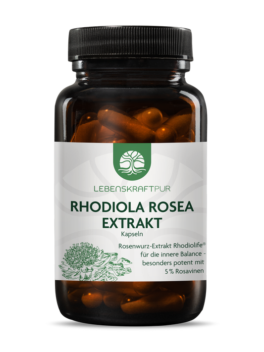 Rhodiola Rosea Extrakt Kapseln