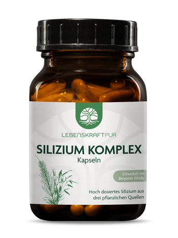 Silizium Komplex Kapseln