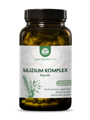 Silizium Komplex Kapseln (120 Kapseln) von Lebenskraftpur