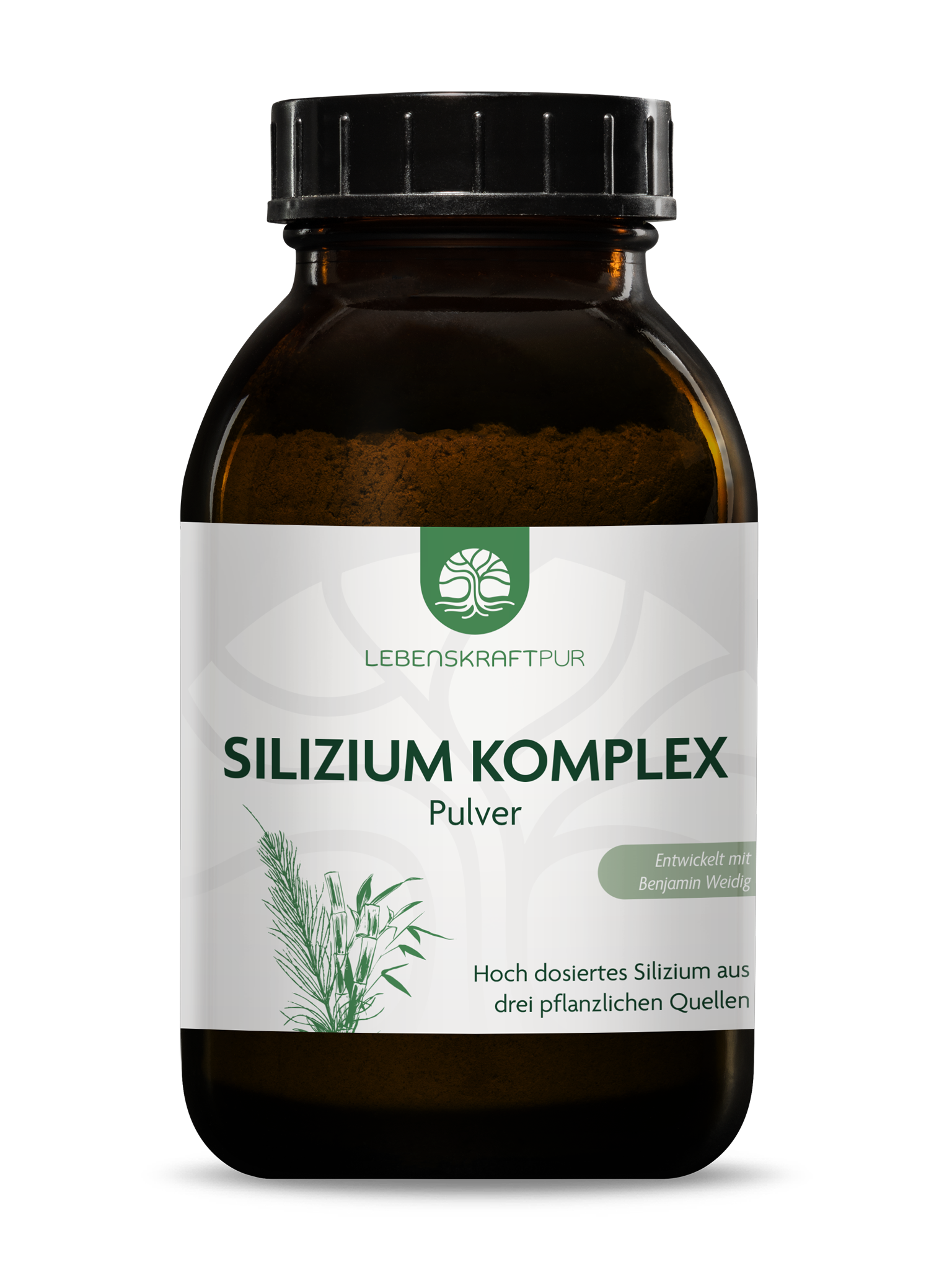 Produktbild Silizium Komplex Pulver