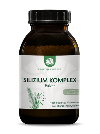 Silizium Komplex Pulver