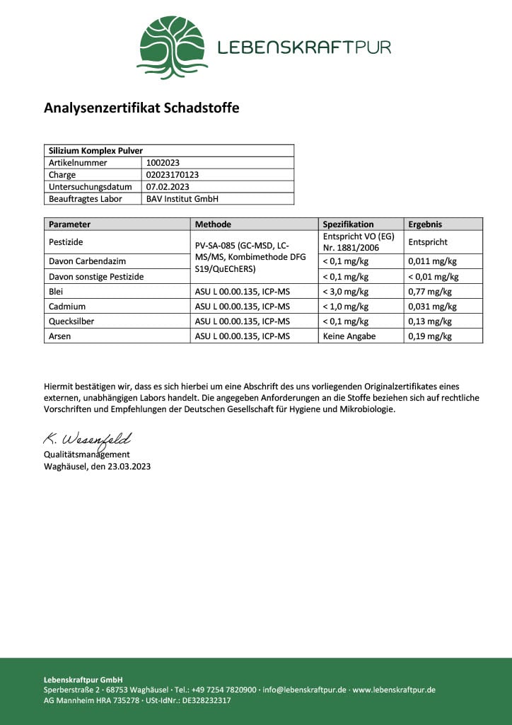 Produktbild Silizium Komplex Pulver