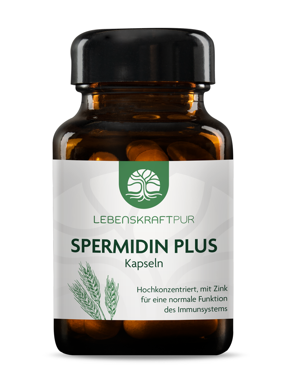 Spermidin Plus Kapseln (30 Kapseln) von Lebenskraftpur