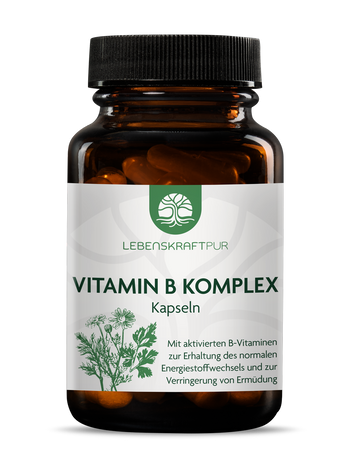 Vitamin B Komplex Kapseln von Lebenskraftpur