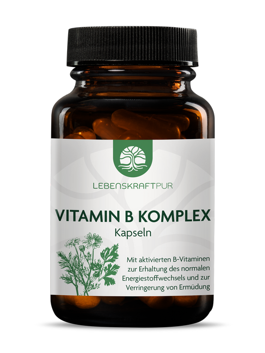 Vitamin B Komplex Kapseln von Lebenskraftpur