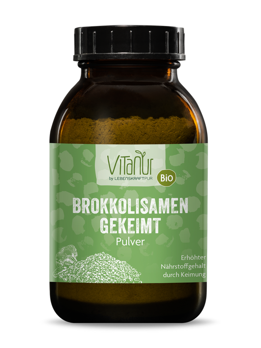 Bio Brokkolisamen Gekeimt Pulver von Vitanur by Lebenskraftpur