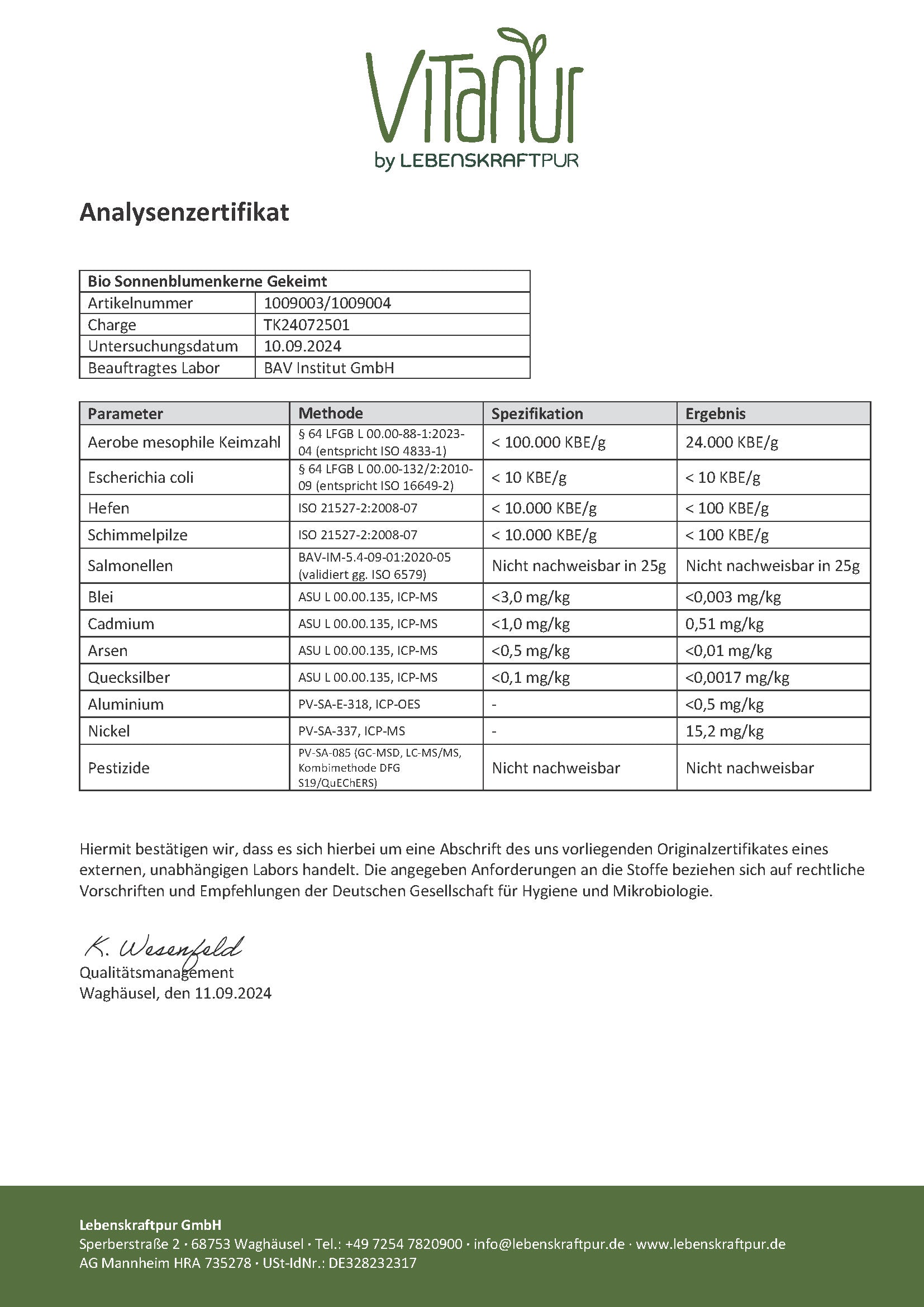 Bio Sonnenblumenkerne Gekeimt