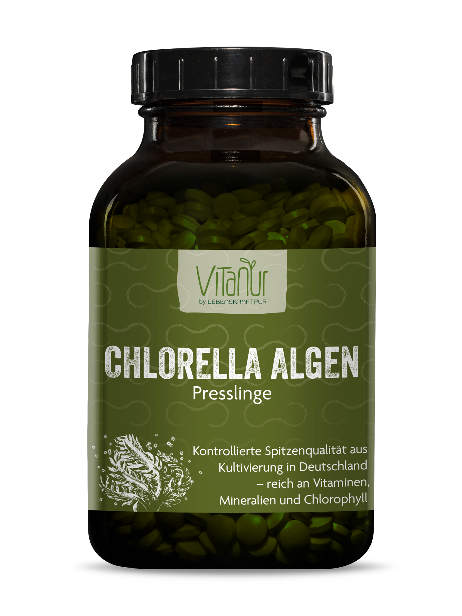 Chlorella Algen Presslinge