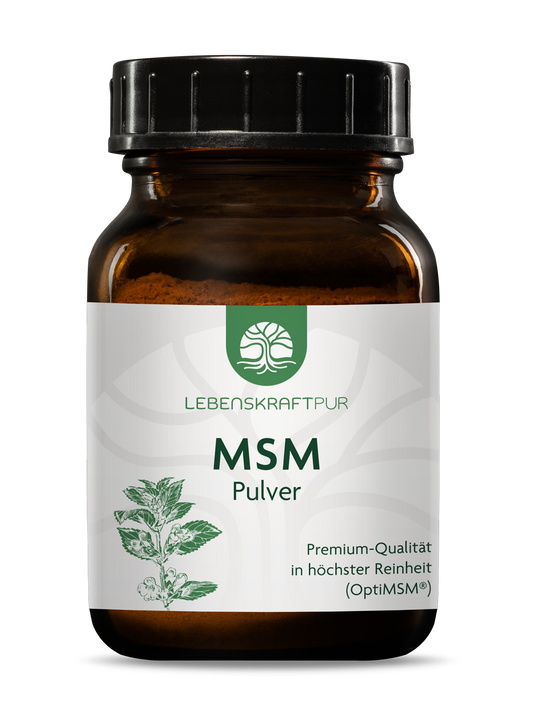 MSM Pulver